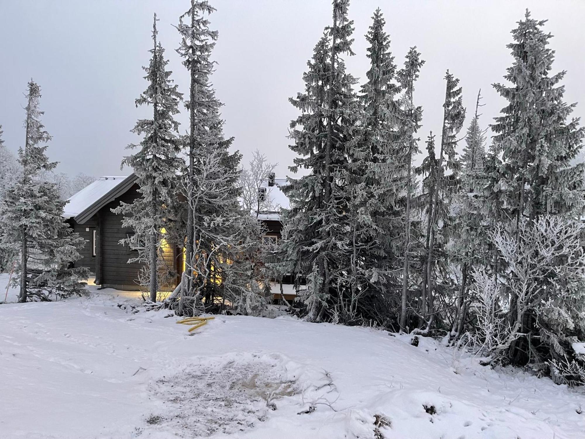 Mountain Holiday Homes - Ottsjoe, Trillevallen -Sweden Are Phòng bức ảnh