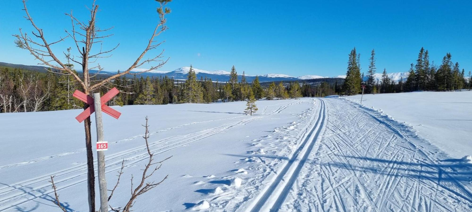 Mountain Holiday Homes - Ottsjoe, Trillevallen -Sweden Are Ngoại thất bức ảnh
