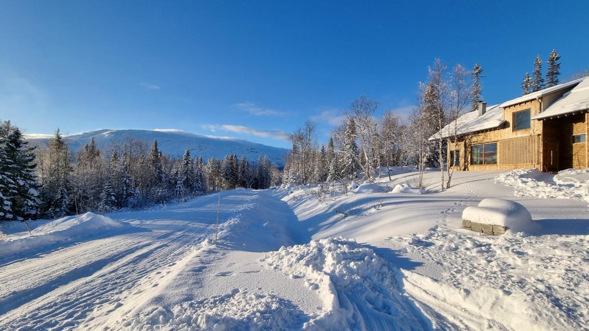 Mountain Holiday Homes - Ottsjoe, Trillevallen -Sweden Are Phòng bức ảnh