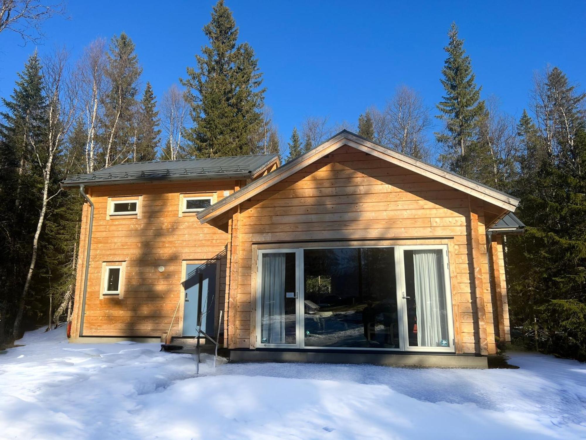 Mountain Holiday Homes - Ottsjoe, Trillevallen -Sweden Are Ngoại thất bức ảnh